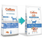 V2HAF3D7BD20E3B94015DC59A4869544FCFR6868009P2